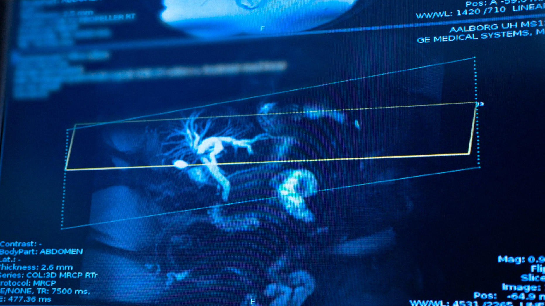 Aalborg University Hospital - The 7 Doctor Roles - photo 3