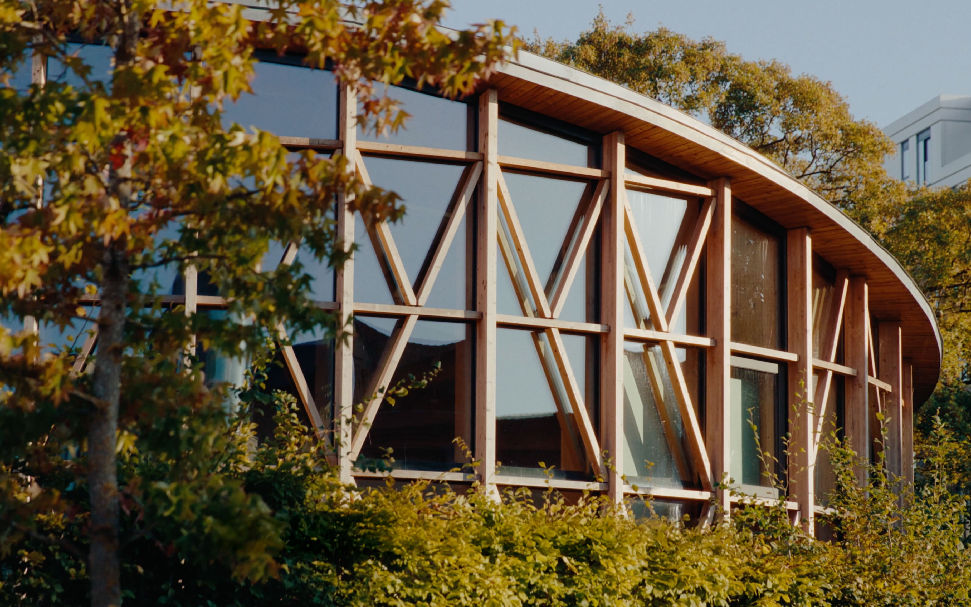 Extraordinary in the Ordinary - photo 2