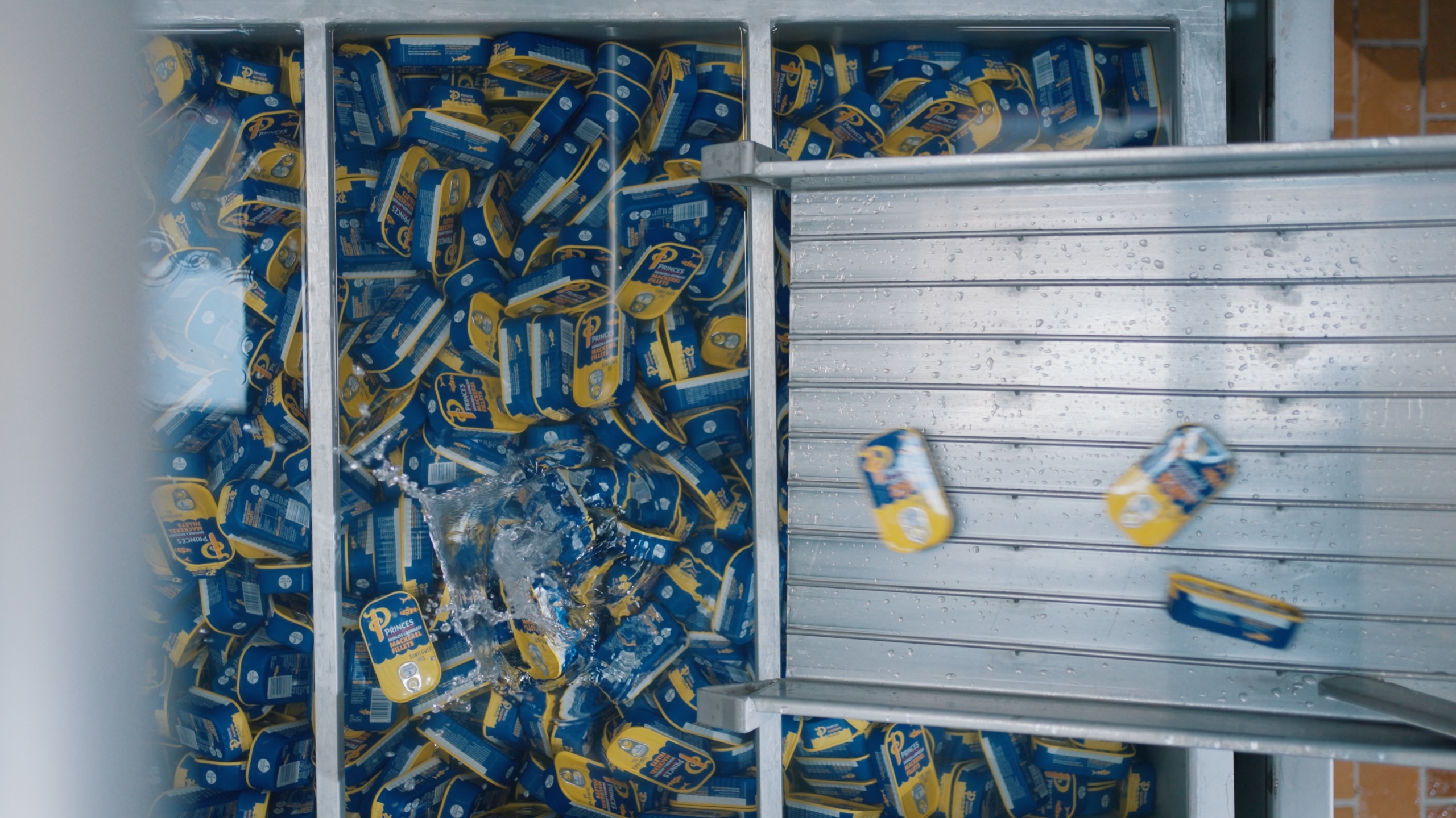 Seaby Fish Industry - Brandingfilm - photo 4