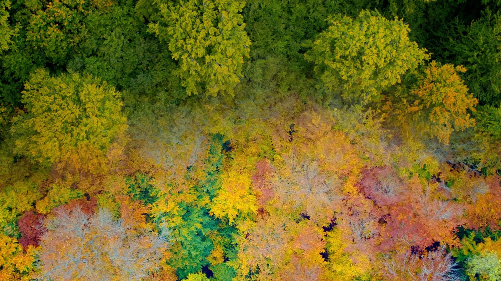 Ærø og Birkholm - National Geographic Channel - banner