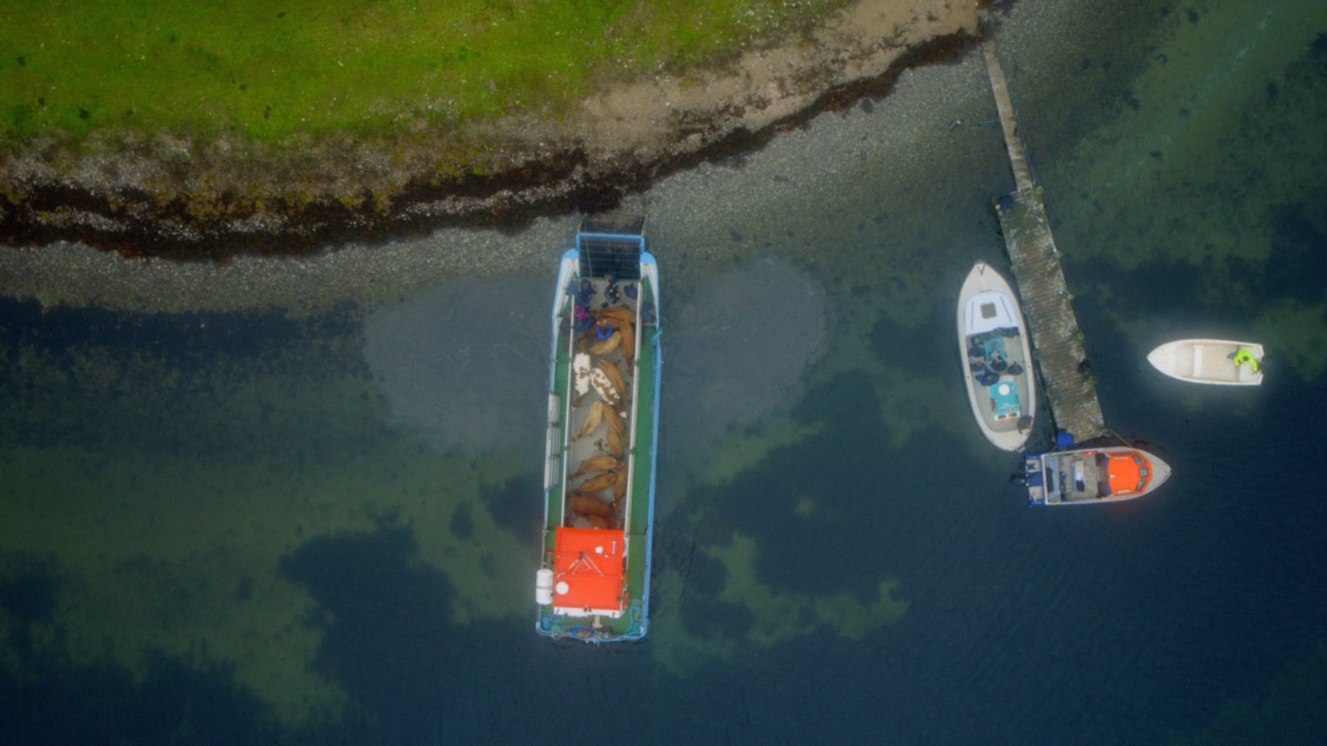 Ærø og Birkholm - National Geographic Channel - photo 6