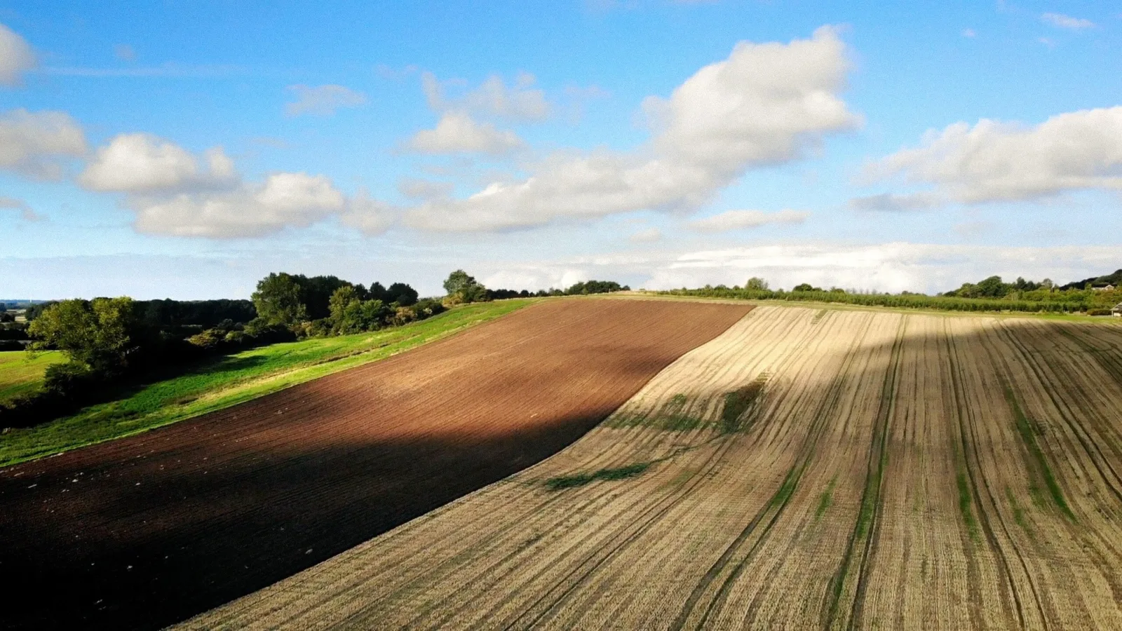 Bornholm Rapsolie - National Geographic Channel - photo 1