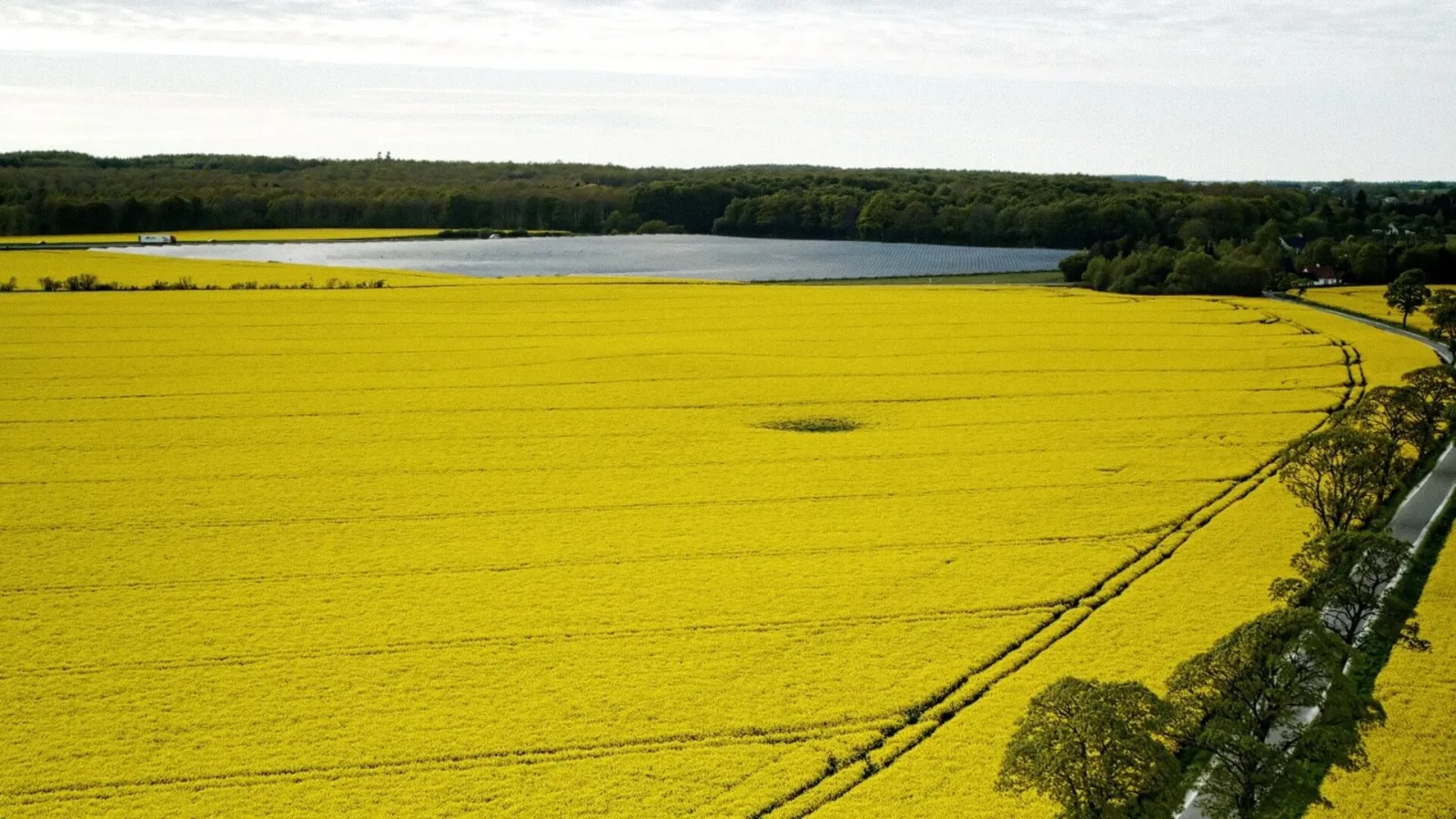 Bornholm Rapsolie - National Geographic Channel - photo 1