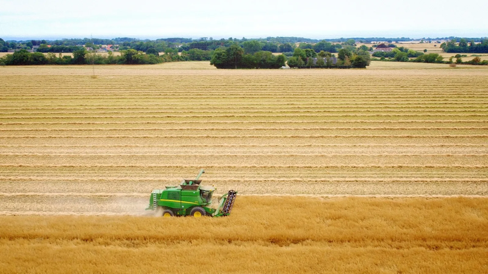 Bornholm Rapsolie – National Geographic - Drone video by Interfilm Productions