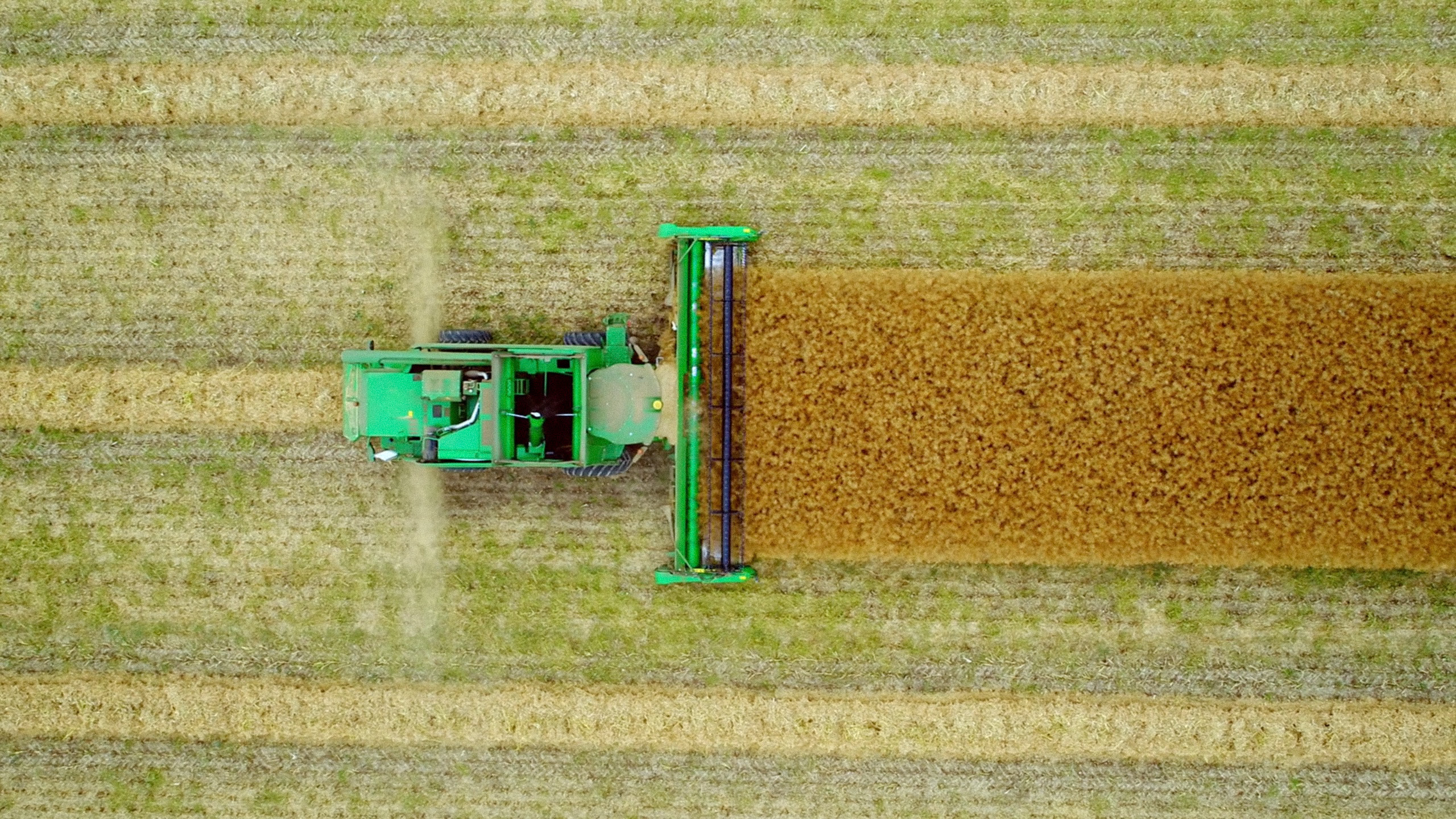 Bornholm Rapsolie - National Geographic - photo 3