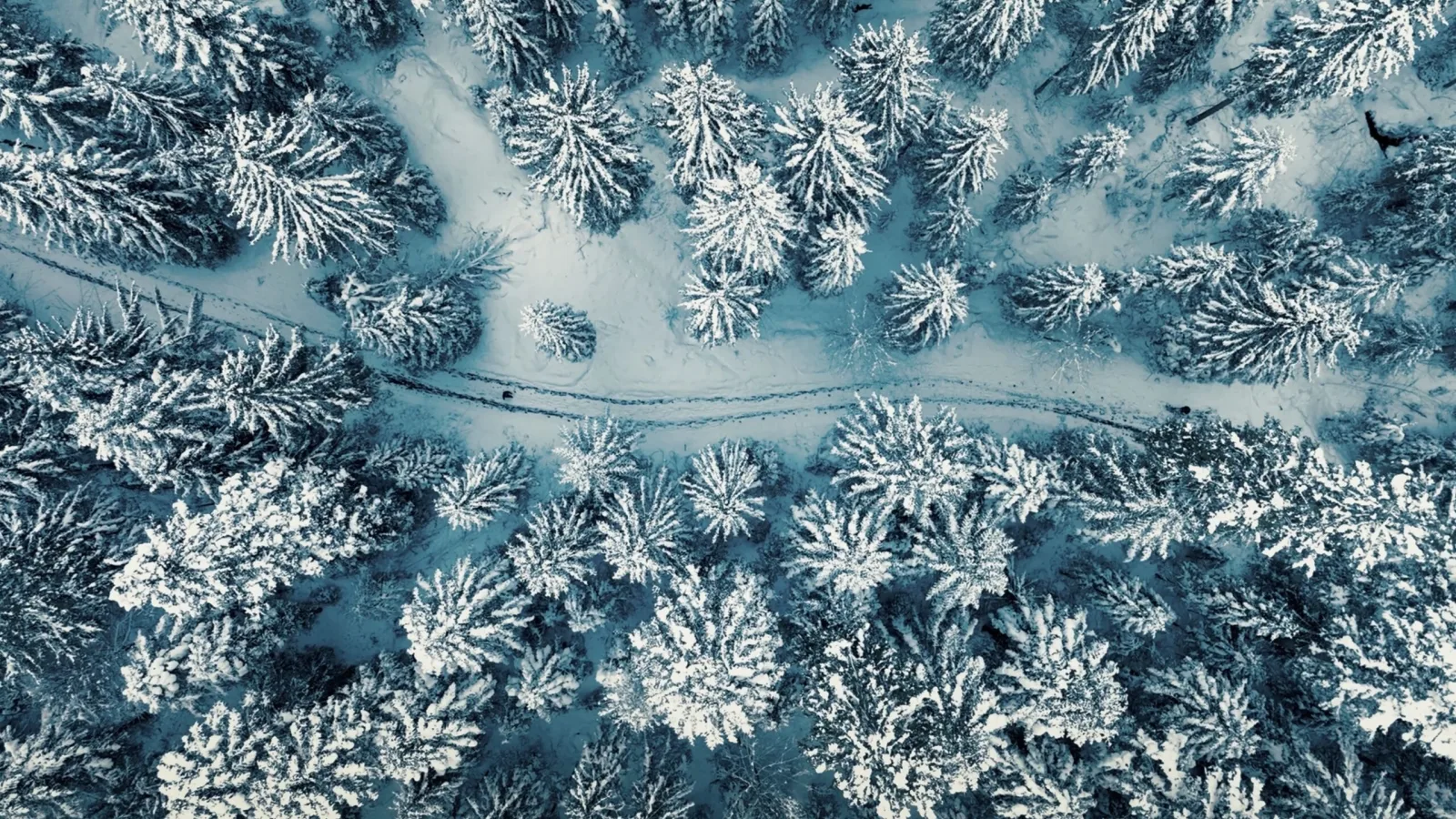 Når verden vælter - photo 2