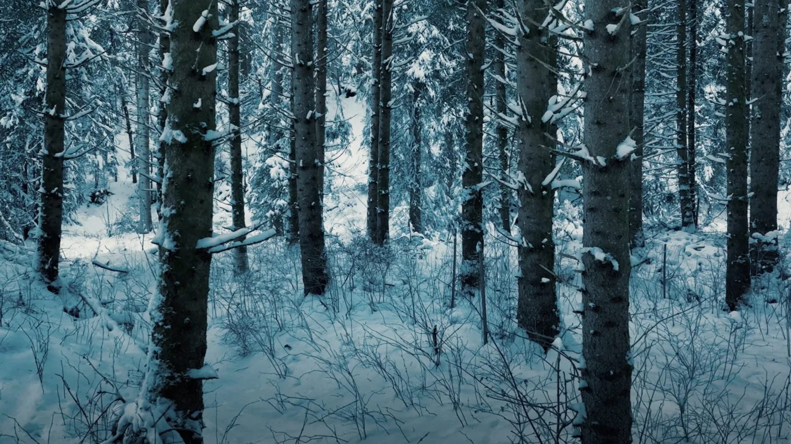 Når verden vælter - photo 3